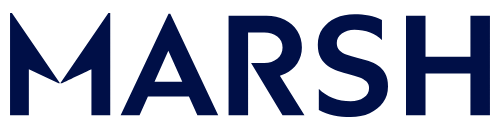 NCR Voyix logo