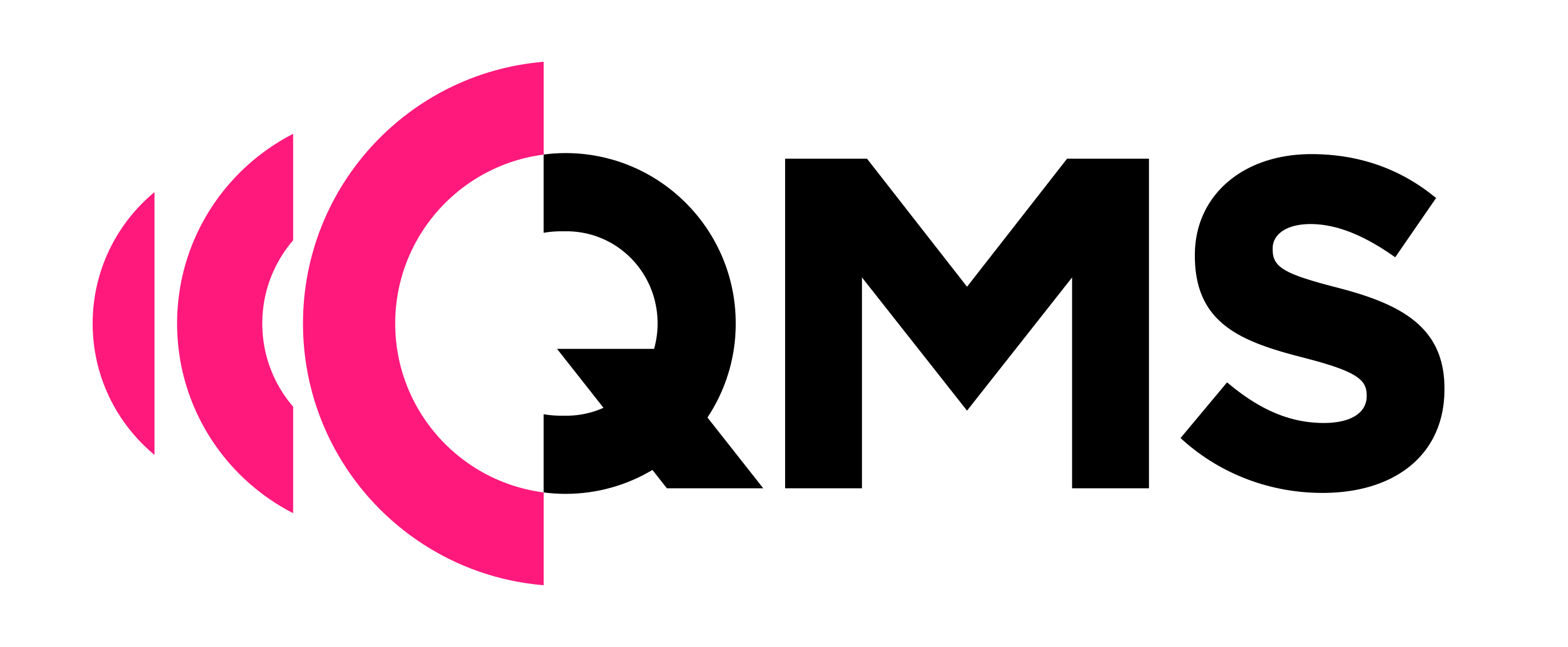 QMS logo